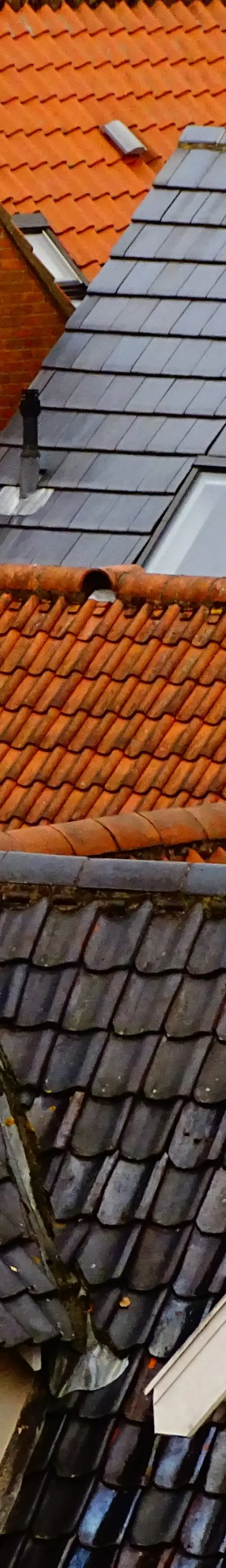 Roof Construction Basics